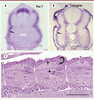 Figure 2. Figure 2.