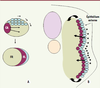 Figure 3. Figure 3.