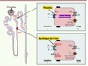 Figure 1 Figure 1