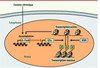 Figure 1 Figure 1