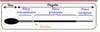 Figure 1 Figure 1