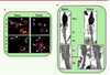 Figure 2 Figure 2