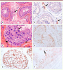 Figure 2 Figure 2