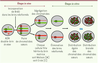 Figure 1 Figure 1