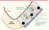 Figure 2 Figure 2