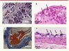 Figure 2 Figure 2