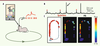 Figure 1 Figure 1