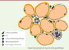 Figure 1 Figure 1