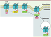 Figure 1 Figure 1