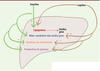 Figure 3 Figure 3