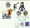 Figure 1 Figure 1