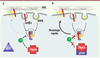 Figure 2 Figure 2