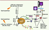 Figure 1 Figure 1