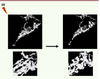 Figure 2 Figure 2