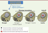 Figure 2 Figure 2