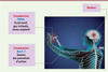 Figure 1 Figure 1