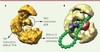 Figure 1 Figure 1