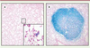 Figure 1 Figure 1