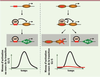 Figure 1 Figure 1