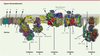 Figure 3 Figure 3