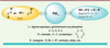 Figure 1 Figure 1