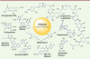 Figure 3 Figure 3
