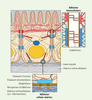 Figure 1 Figure 1