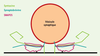 Figure 1 Figure 1