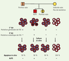 Figure 1 Figure 1
