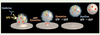 Figure 1 Figure 1