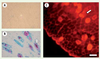 Figure 3 Figure 3