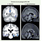 Figure 2 Figure 2