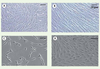 Figure 1 Figure 1