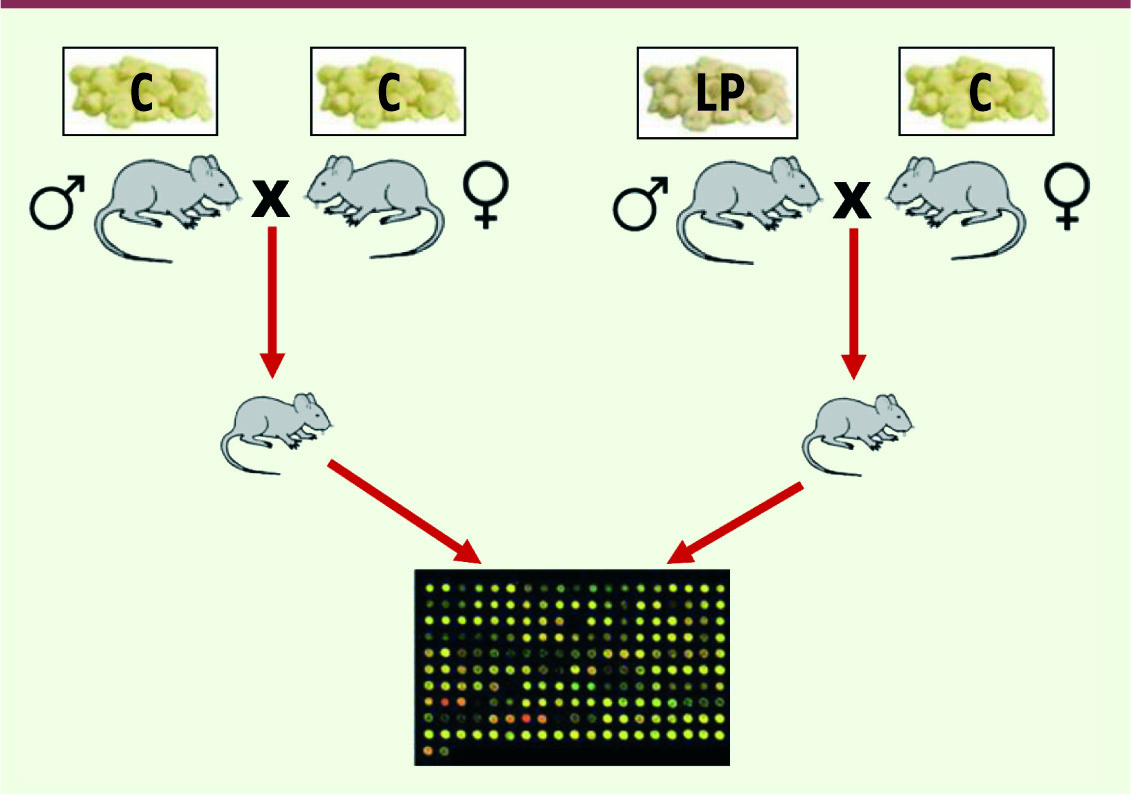 Figure 1.