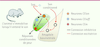 Figure 2. Figure 2.