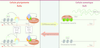 Figure 1 Figure 1