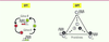 Figure 1. Figure 1.