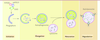 Figure 1 Figure 1