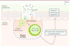 Figure 1 Figure 1