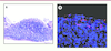 Figure 2 Figure 2