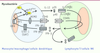 Figure 1 Figure 1