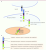 Figure 1 Figure 1