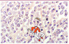 Figure 2 Figure 2