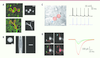Figure 2. Figure 2.