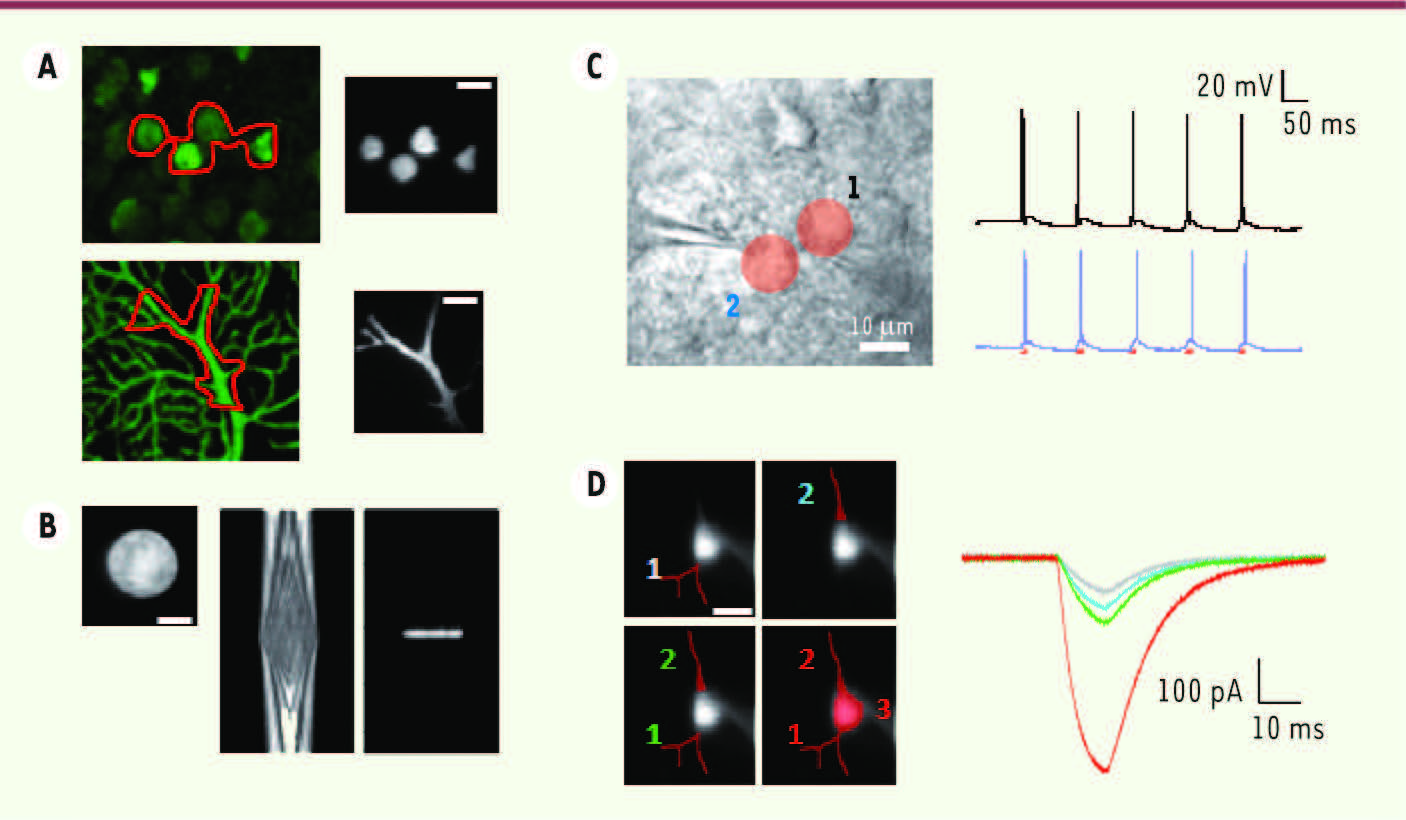 Figure 2.