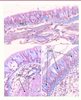 Figure 1. Figure 1.