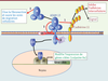 Figure 1 Figure 1