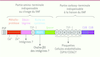 Figure 2. Figure 2.
