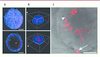 Figure 3. Figure 3.