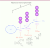 Figure 2. Figure 2.